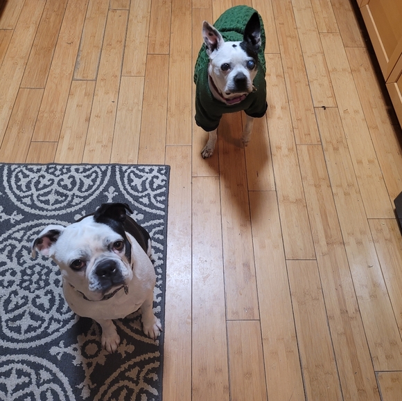 MEET YOUR SELLER - Picture 11 of 11